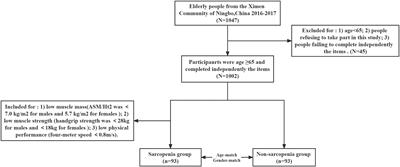 Circulating miR-29b decrease in response to sarcopenia in patients with cardiovascular risk factors in older Chinese